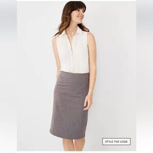 ANN TAYLOR Tone On Tone Mini Stripe Tan/Brown Pencil Skirt Size 4 EUC $79 KL